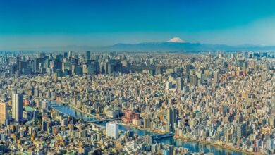 Panoramic view of Tokyo cityscape with Mount Fuji in the distance.